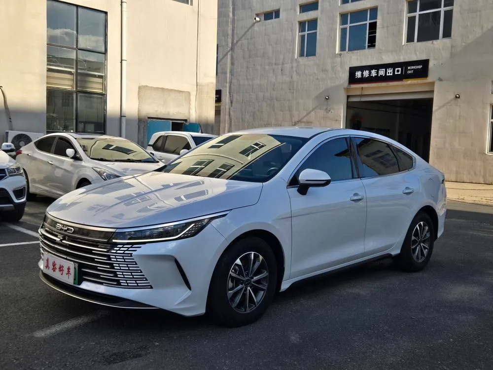 BYD Destroyer 05 Glory Edition DM-i 55KM Luxury Version, 2024 — фото 1