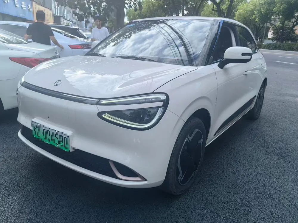 Dongfeng Yipai Nami 01, 2024