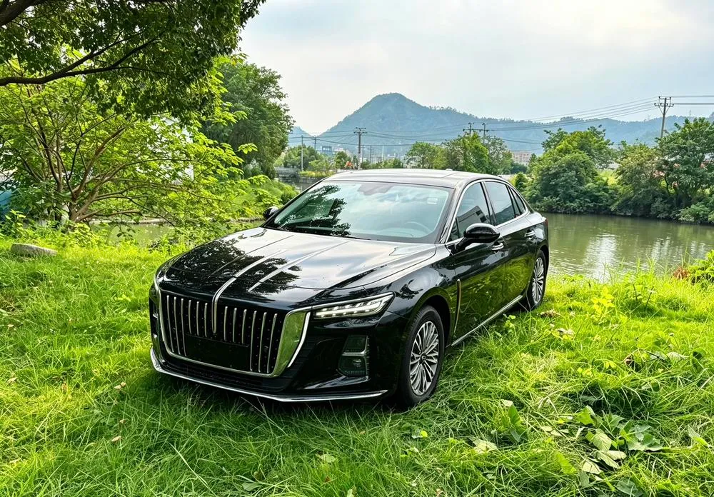 Hongqi H5, 2024