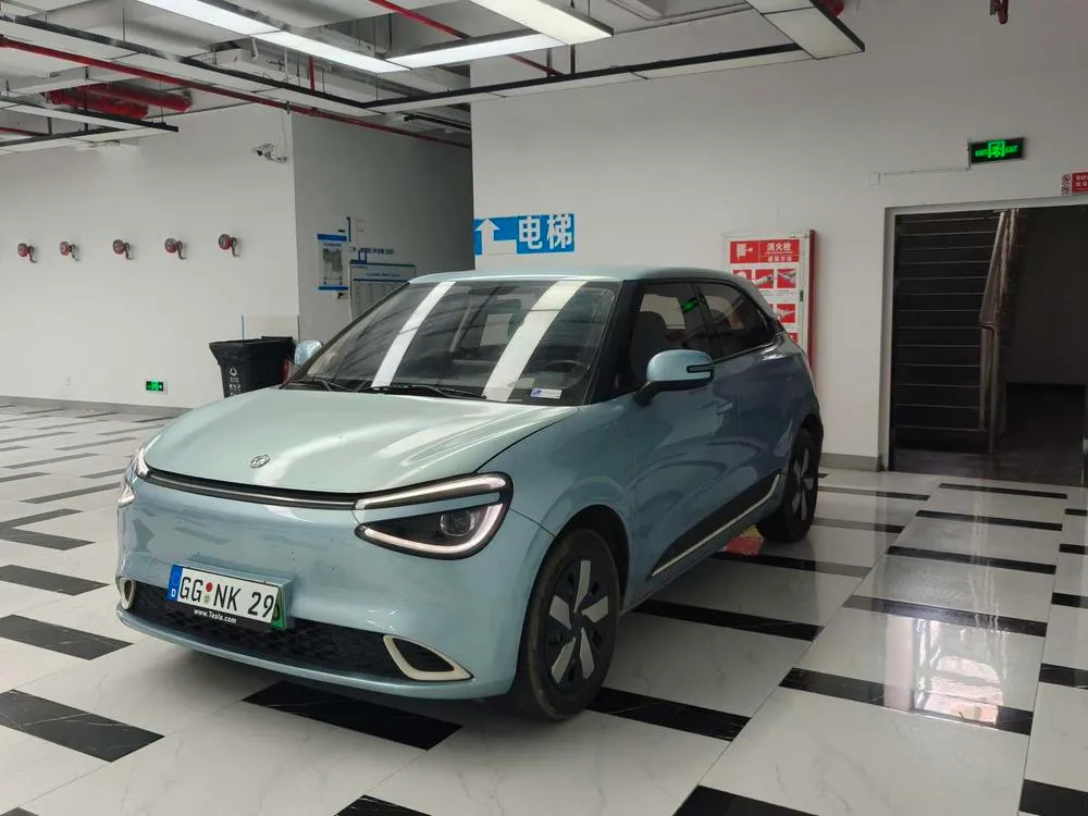 Dongfeng Yipai Nami 01, 2024