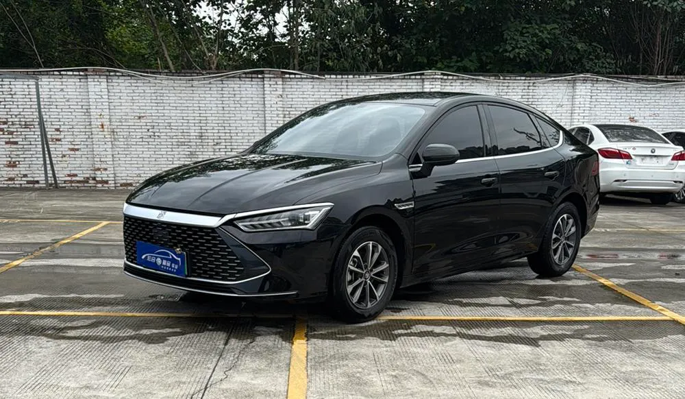 BYD Qin PLUS DM Glory Edition DM-i 55KM Leading Version, 2024 — фото 1