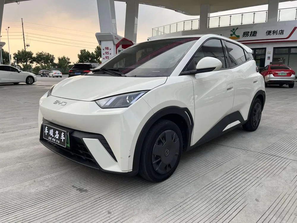 BYD Seagull Glory Edition 305KM Edition, 2024 — фото 1
